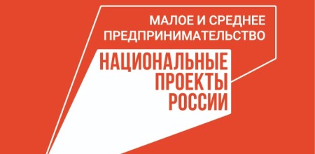 Объем закупок госкомпаний у самозанятых вырос в 1,5 раза и превысил 8 млрд рублей 28.10.2024г.